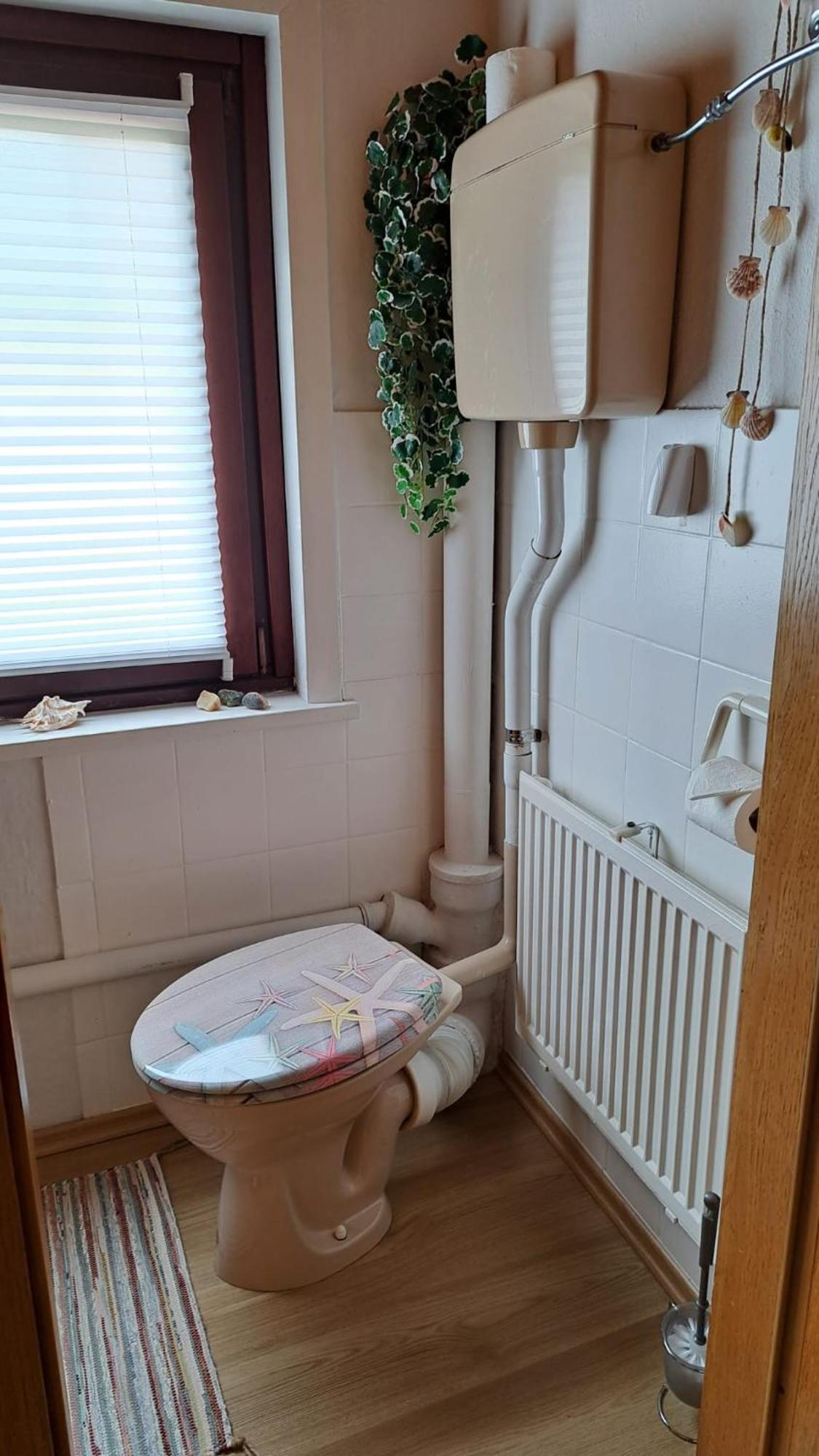 Ferienwohnung Friedrichsruh Браунлаге Экстерьер фото