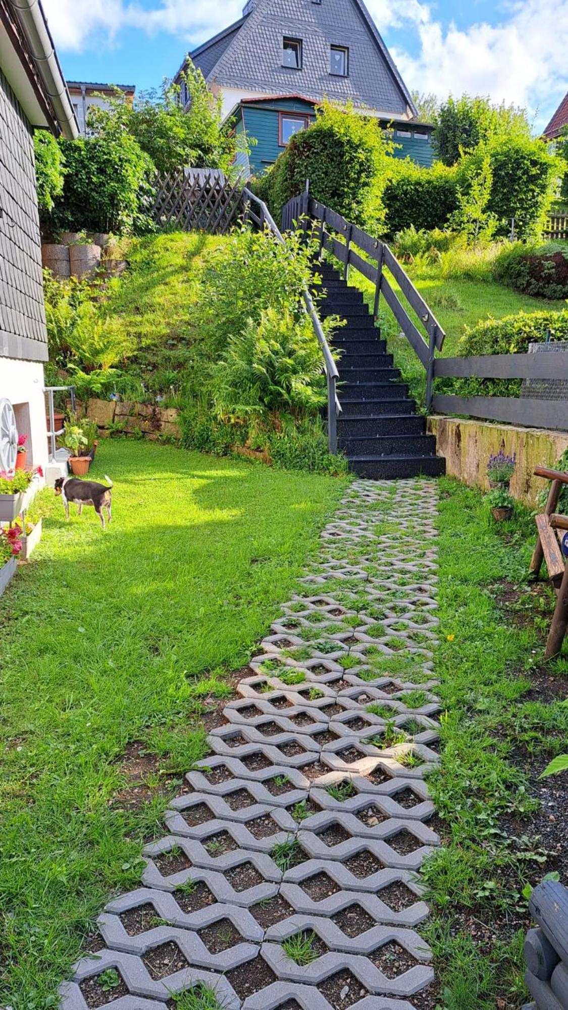 Ferienwohnung Friedrichsruh Браунлаге Экстерьер фото