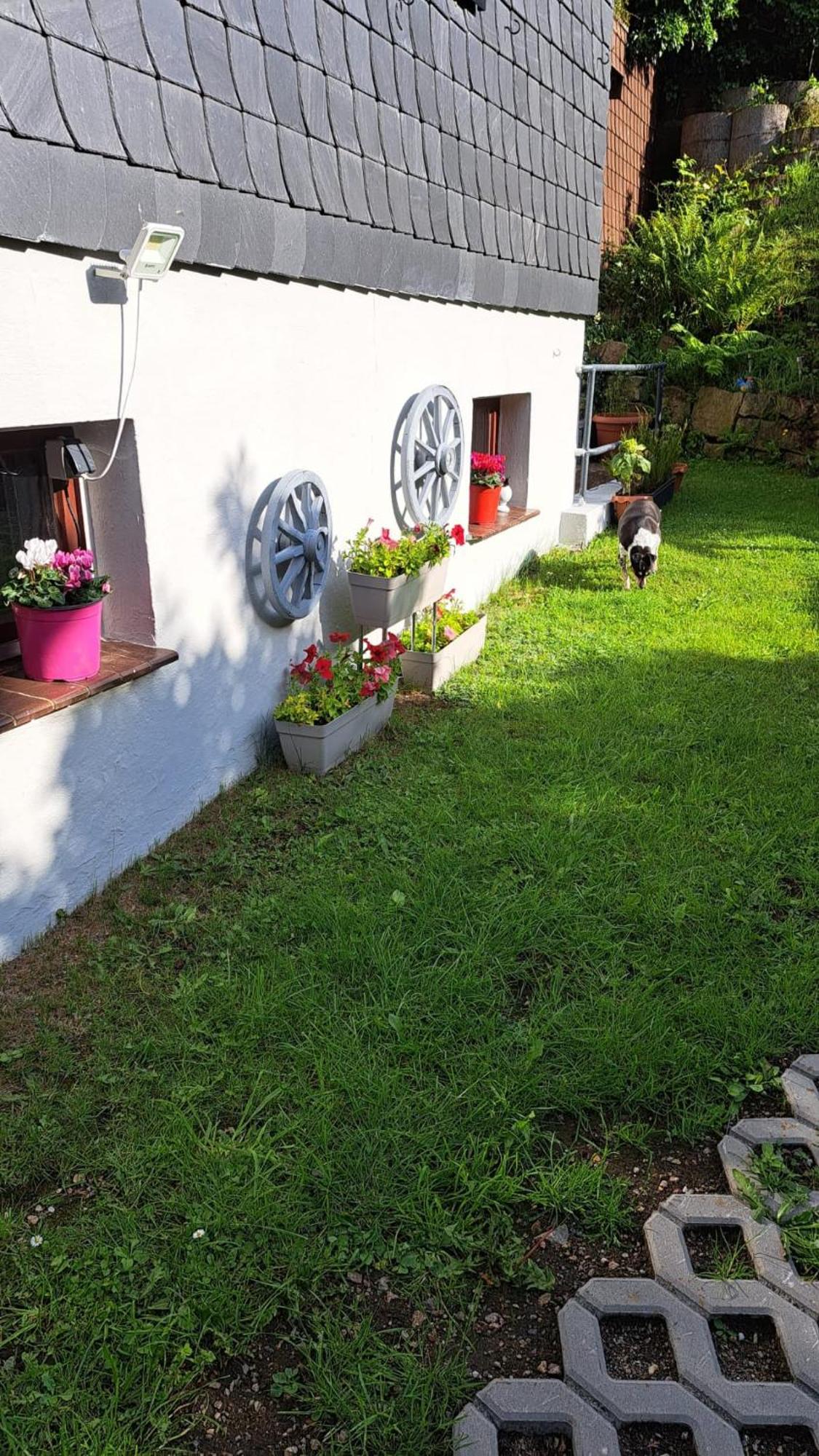 Ferienwohnung Friedrichsruh Браунлаге Экстерьер фото